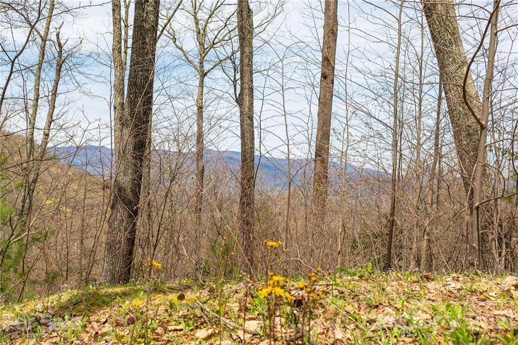 Lot 2 Heritage Ridge Loop thumbnail image 1