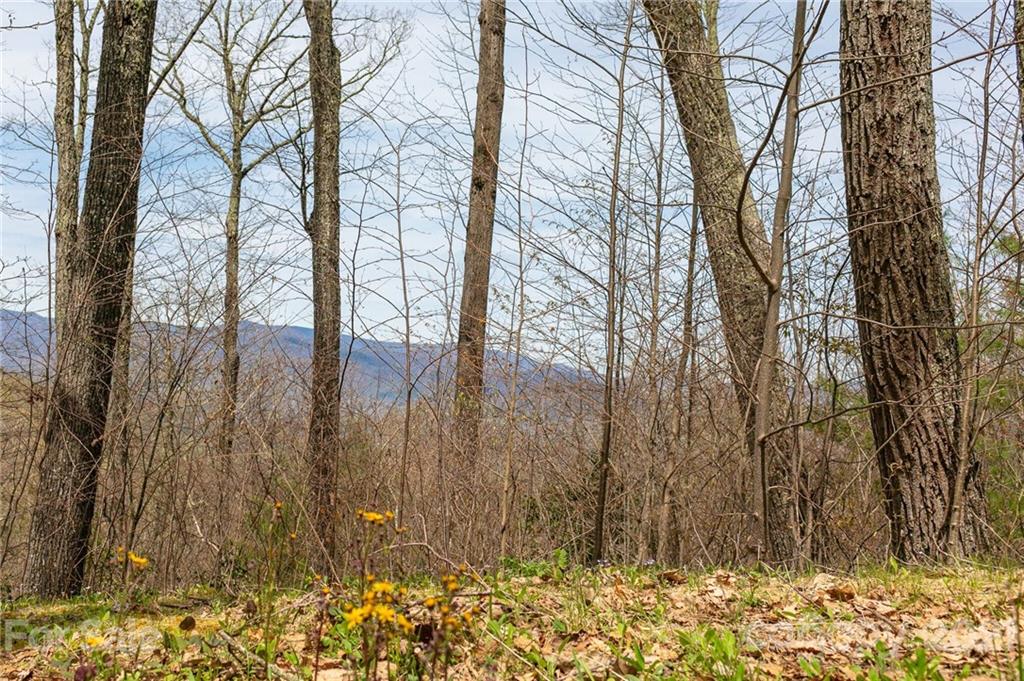 Lot 2 Heritage Ridge Loop thumbnail image 2