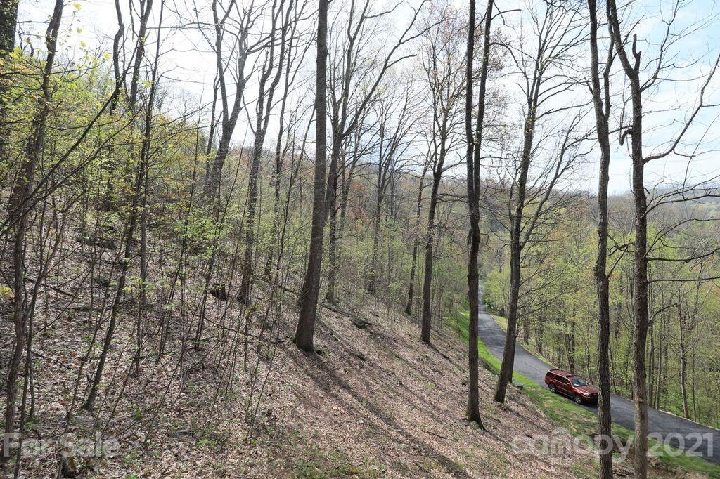 Lot 20 Cliff's Edge Drive thumbnail image 1