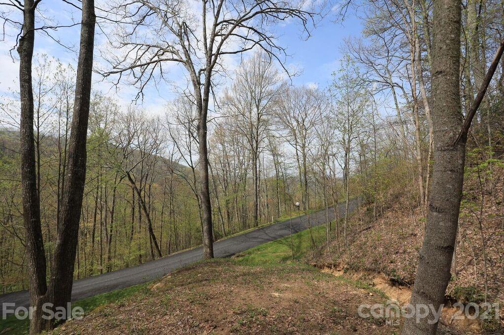 Lot 20 Cliff's Edge Drive thumbnail image 2