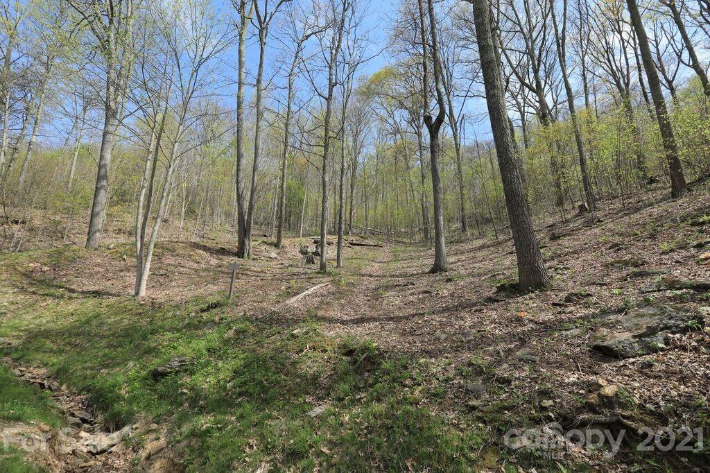Lot 20 Cliff's Edge Drive thumbnail image 3