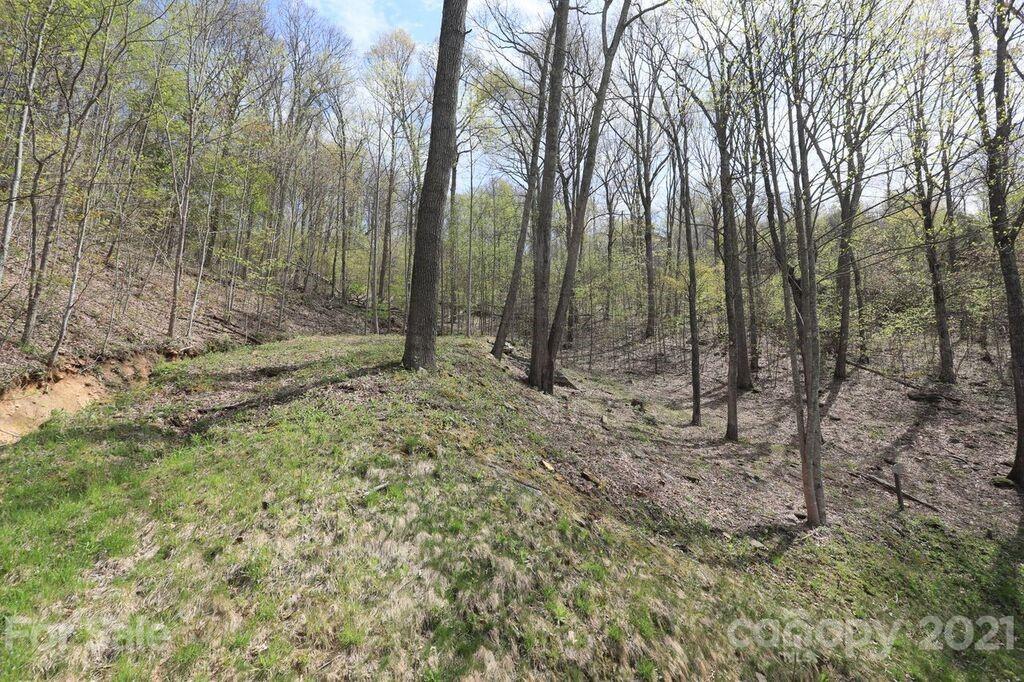 Lot 20 Cliff's Edge Drive thumbnail image 4