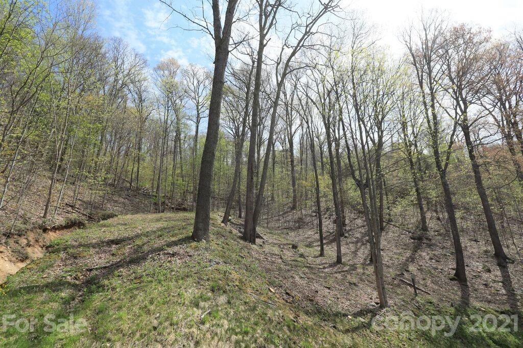 Lot 20 Cliff's Edge Drive thumbnail image 5