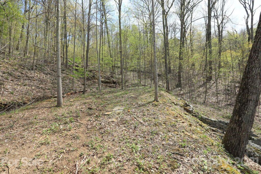 Lot 20 Cliff's Edge Drive thumbnail image 6