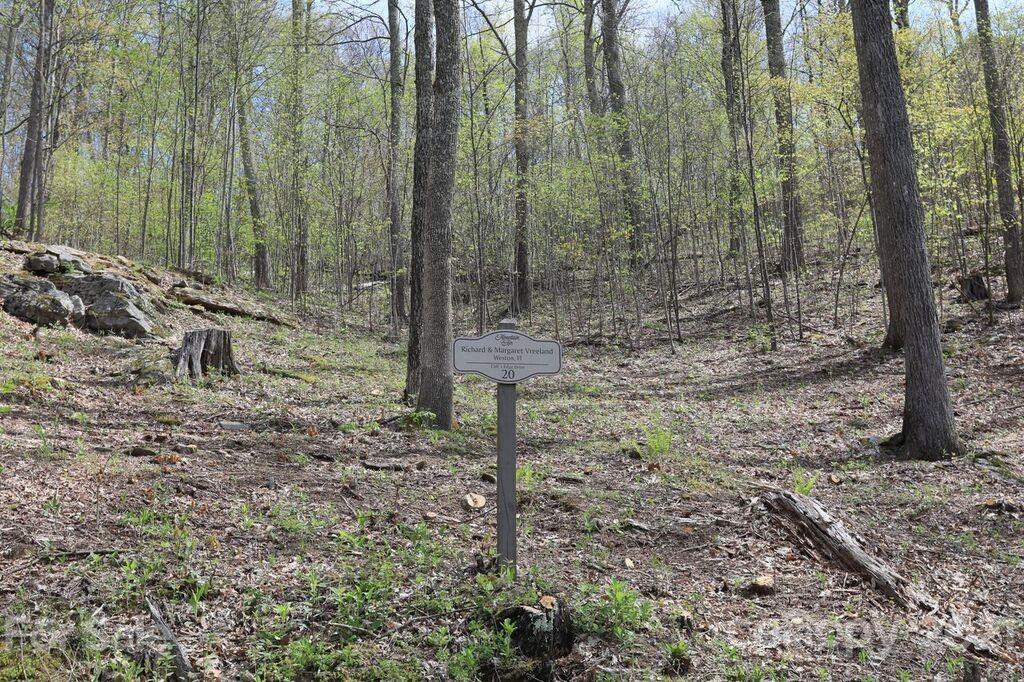 Lot 20 Cliff's Edge Drive thumbnail image 7