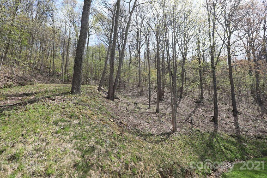 Lot 20 Cliff's Edge Drive thumbnail image 8