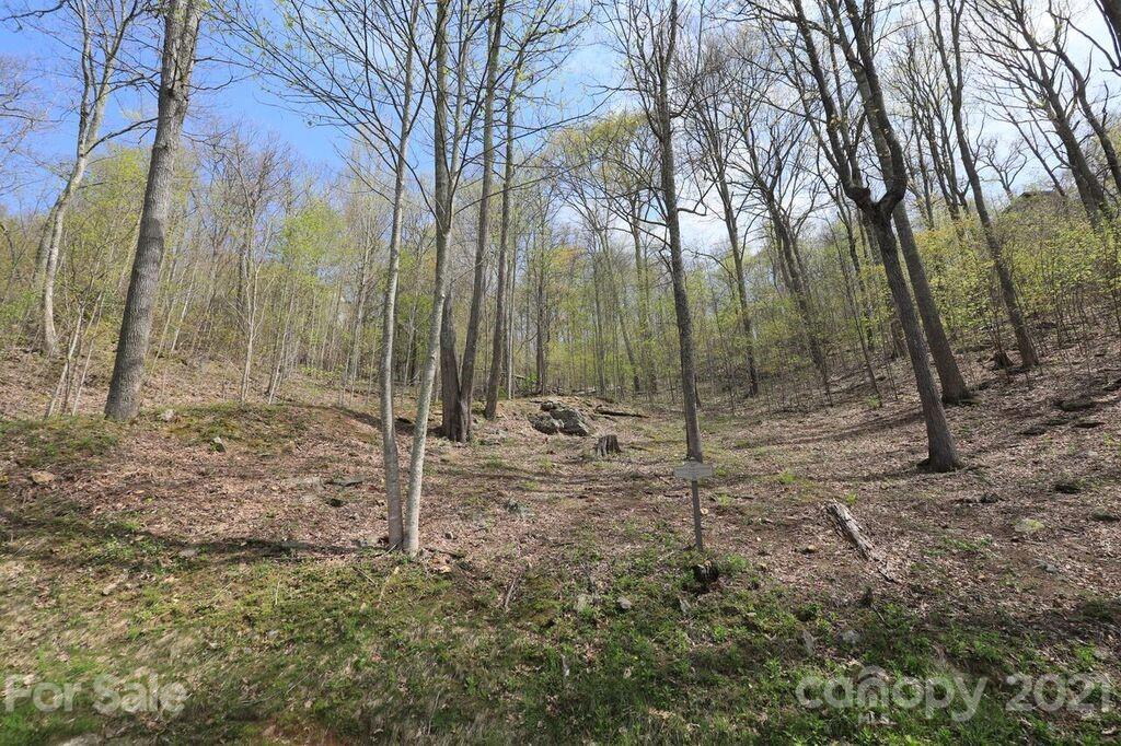 Lot 20 Cliff's Edge Drive thumbnail image 9