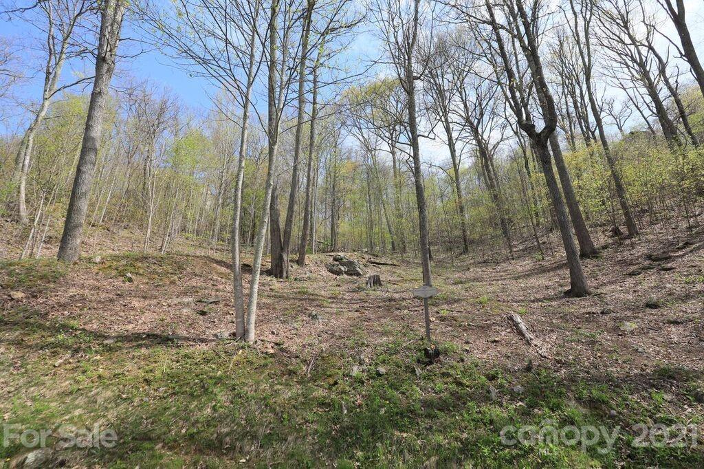 Lot 20 Cliff's Edge Drive thumbnail image 10