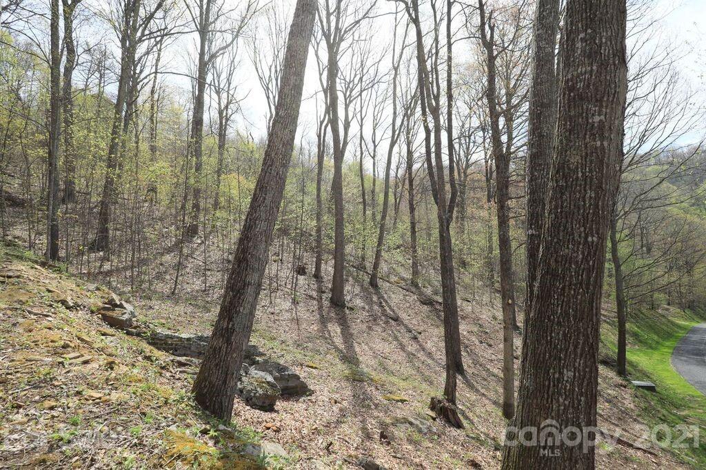 Lot 20 Cliff's Edge Drive thumbnail image 12