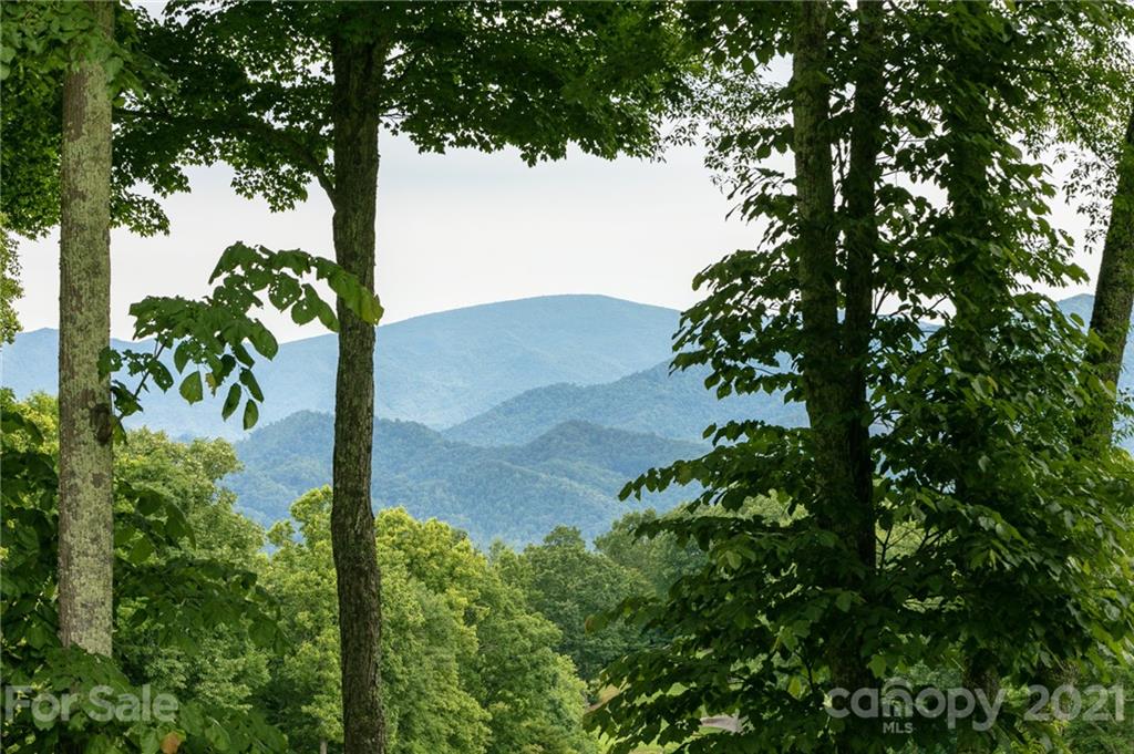 Lot 58 Mountain Air Drive thumbnail image 1