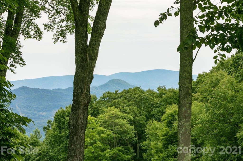 Lot 58 Mountain Air Drive thumbnail image 2