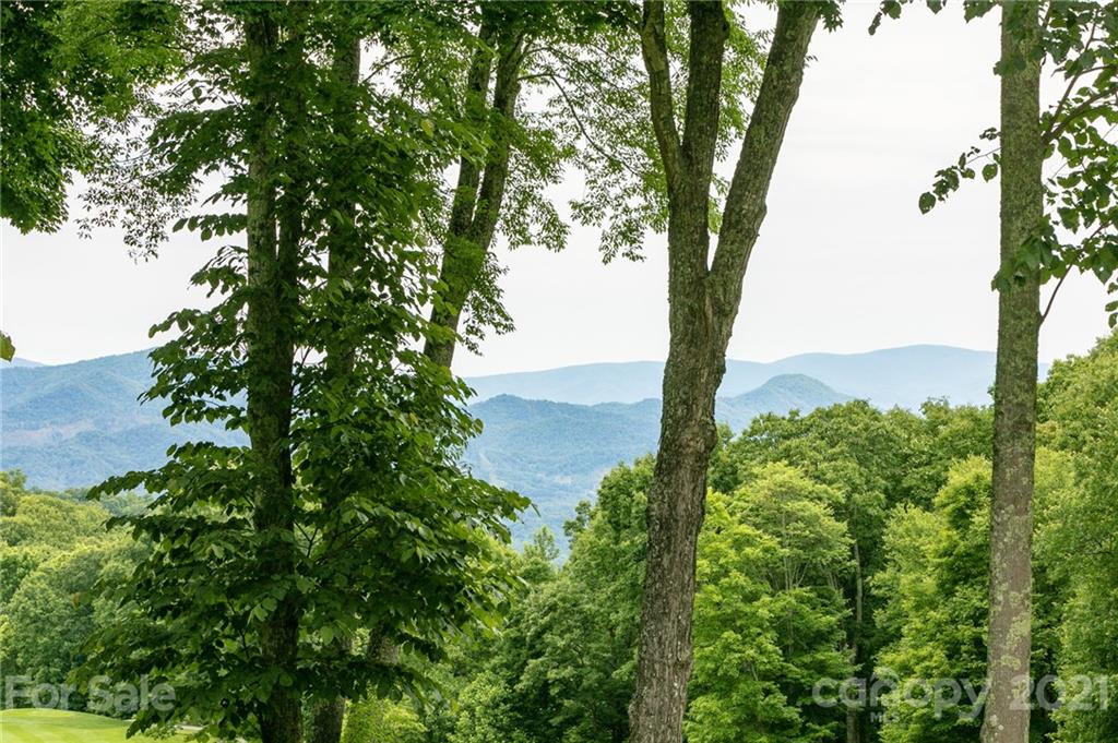 Lot 58 Mountain Air Drive thumbnail image 3