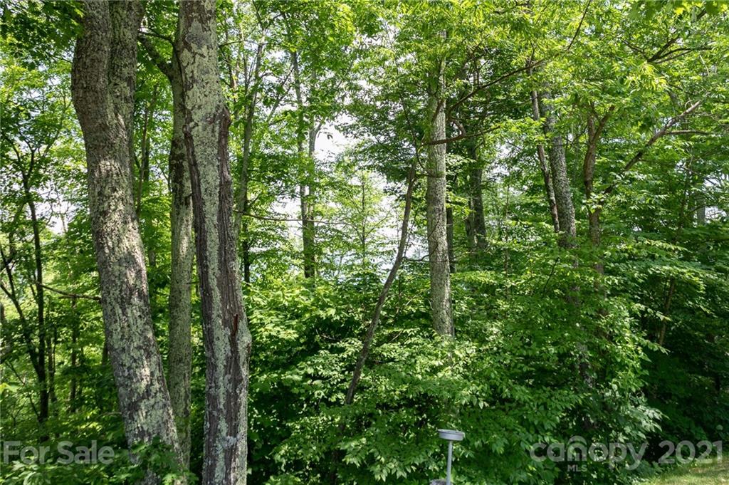 Lot 58 Mountain Air Drive thumbnail image 6
