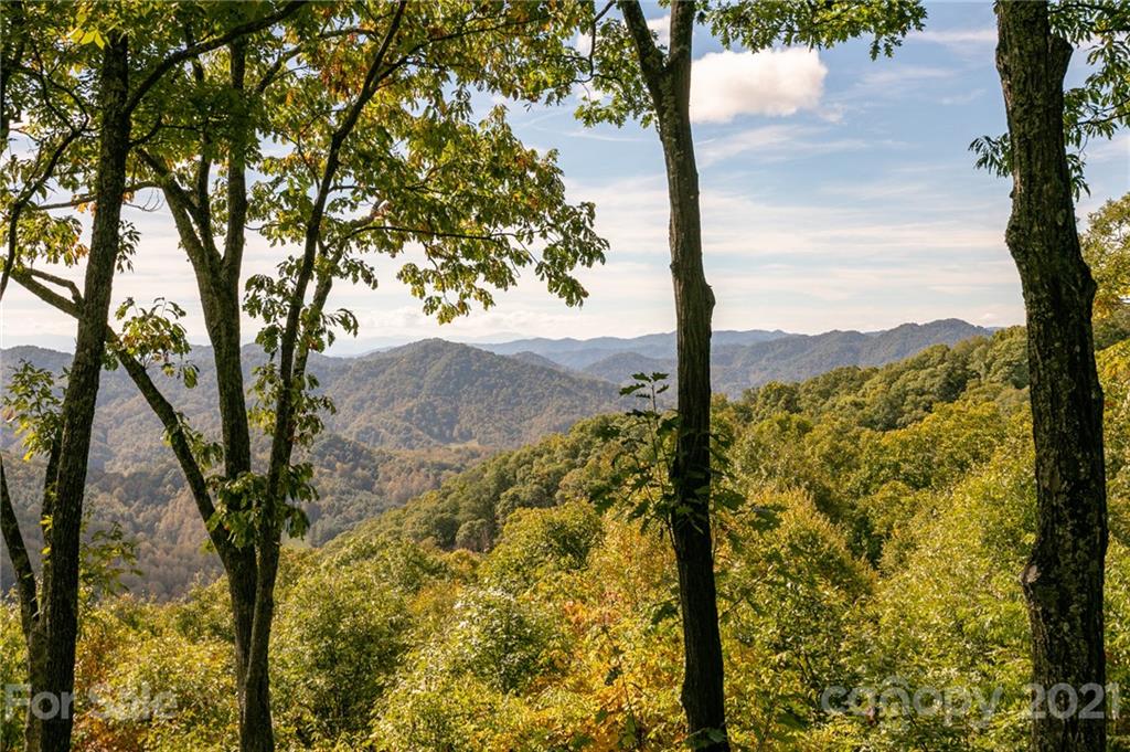 161 Austin Mountain thumbnail image 4