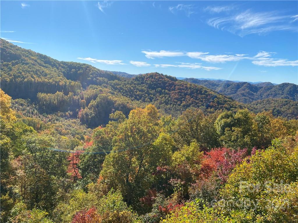 405 Spring Rock thumbnail image 1