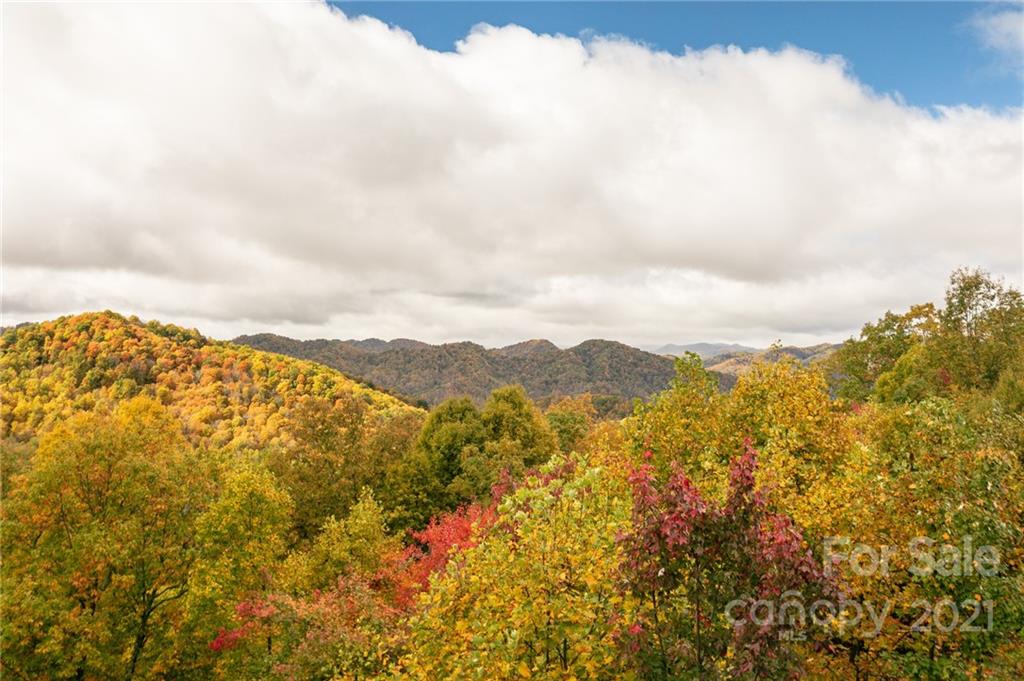 405 Spring Rock thumbnail image 32