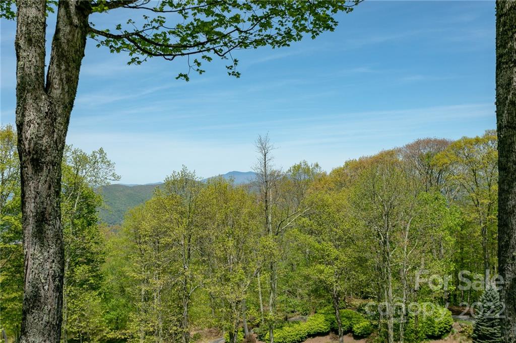 2520 Mountain Air thumbnail image 41