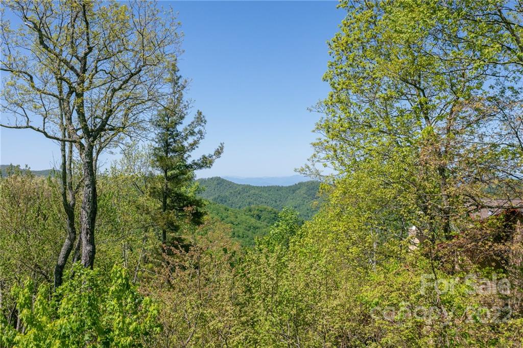 151 Austin Mountain thumbnail image 39