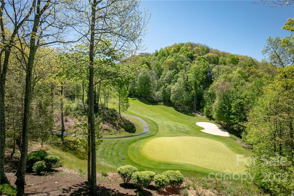 151 Austin Mountain thumbnail image 41