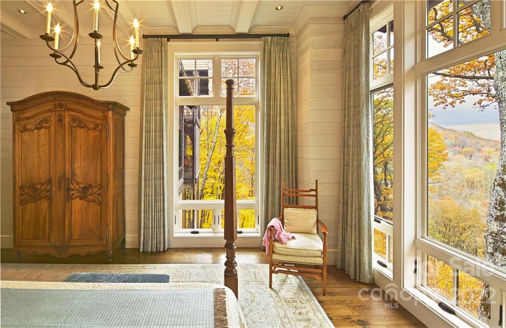 616 Old Growth Forest thumbnail image 12