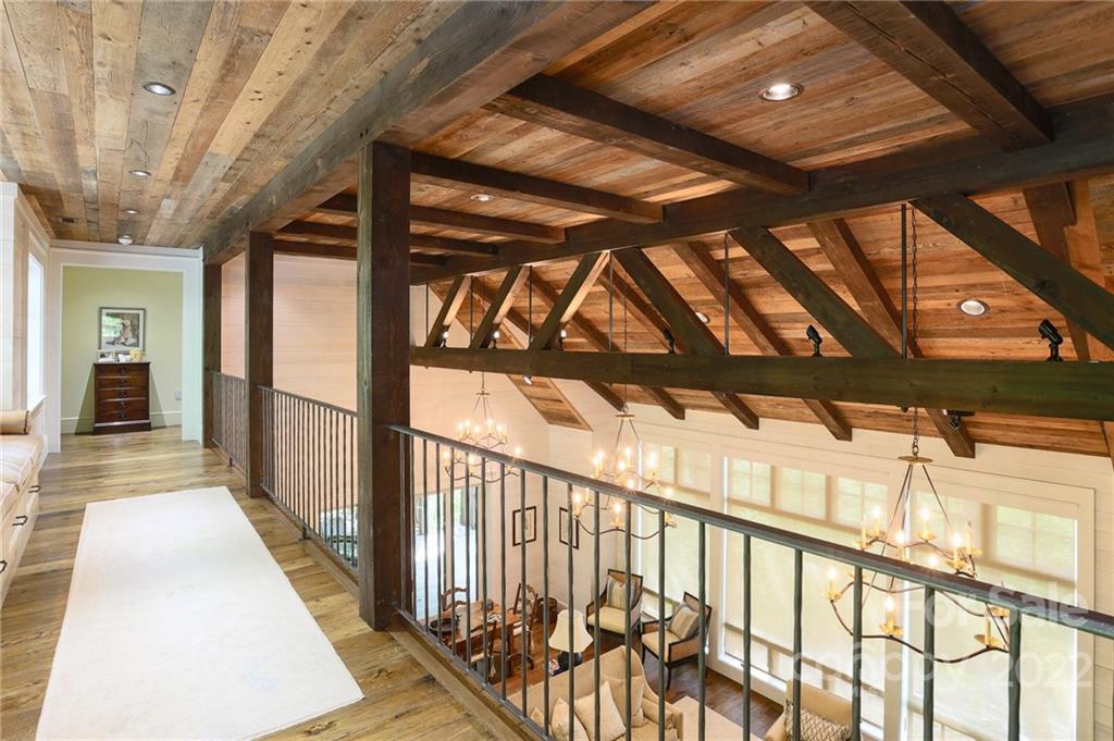 616 Old Growth Forest thumbnail image 20