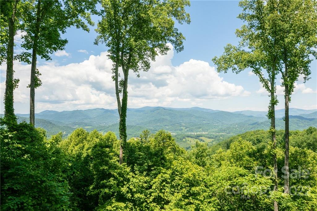 671 Austin Mountain thumbnail image 2