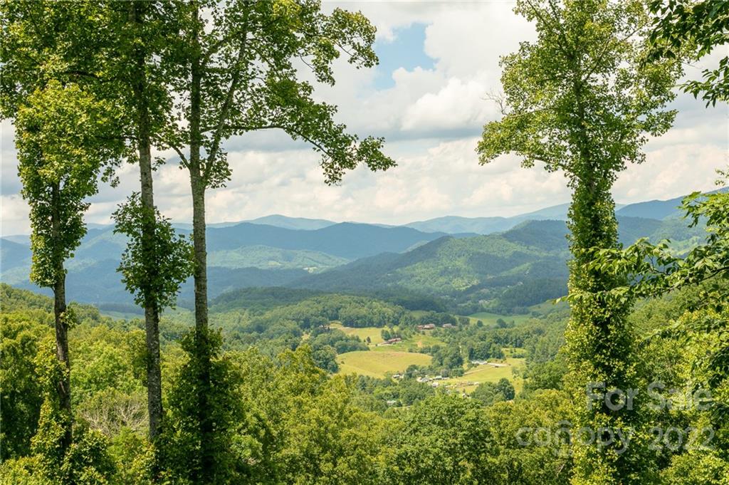 47 Creekside thumbnail image 9