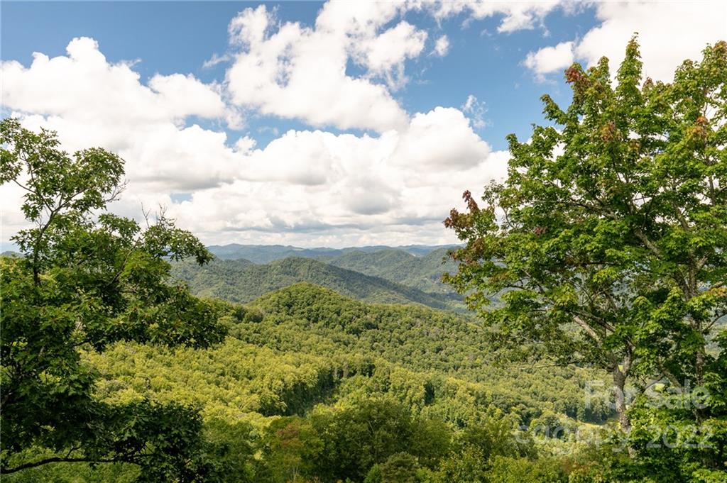 224 Logging Horse thumbnail image 18