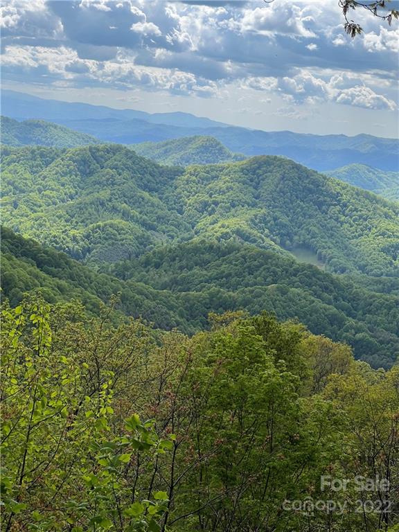 Lot 45 Skyfire thumbnail image 1