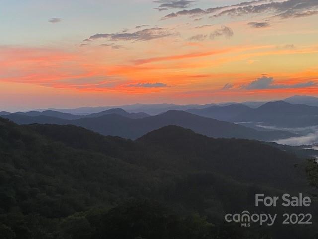 224 Logging Horse thumbnail image 2