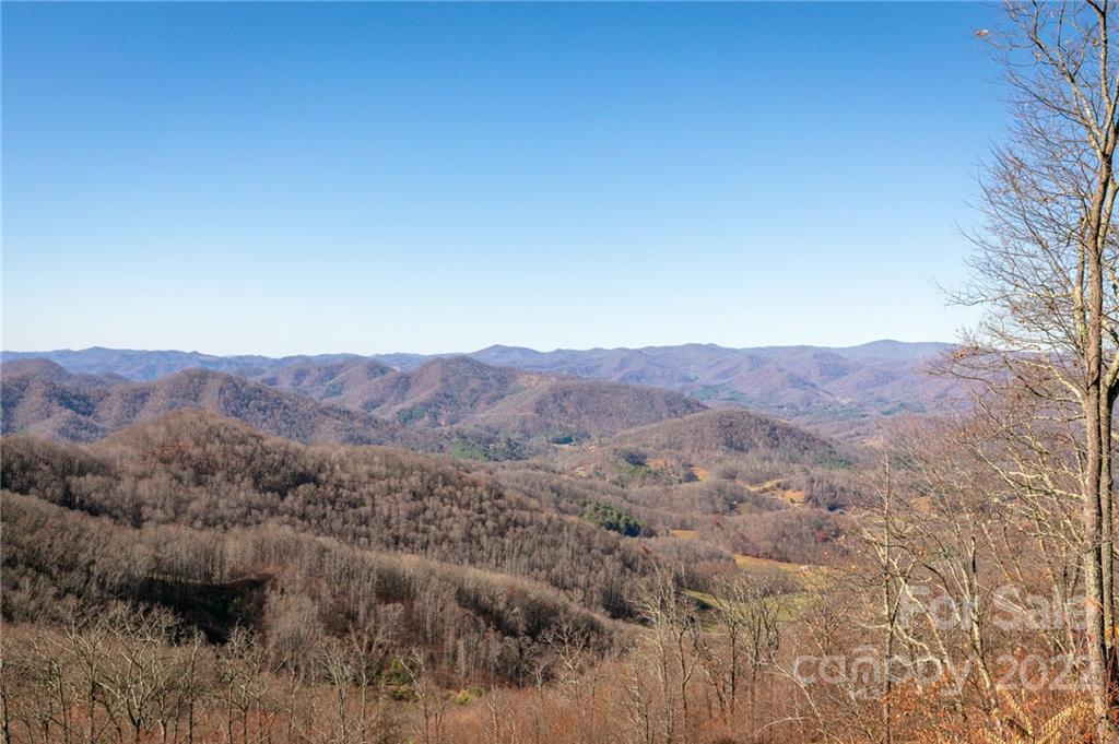 224 Logging Horse thumbnail image 34