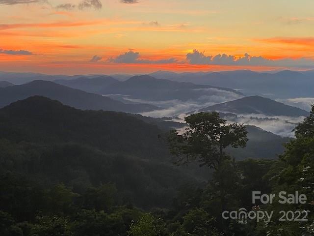 224 Logging Horse thumbnail image 36