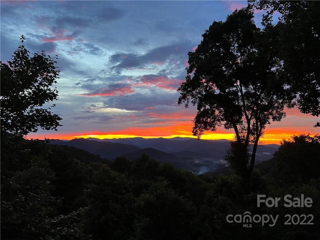 755 Andrew Banks thumbnail image 1