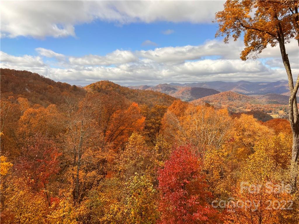 755 Andrew Banks thumbnail image 2