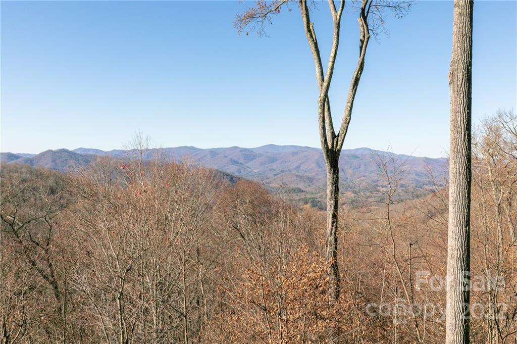 755 Andrew Banks thumbnail image 41