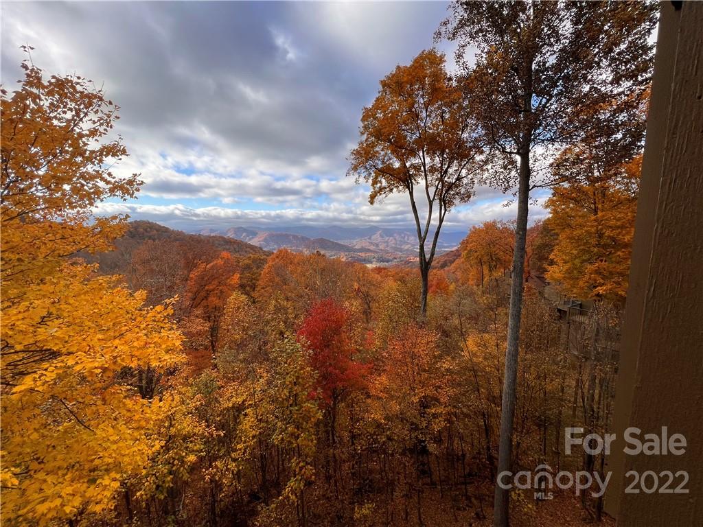 755 Andrew Banks thumbnail image 37