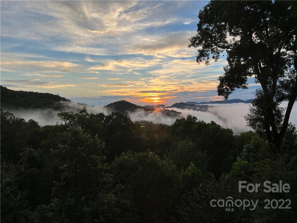 755 Andrew Banks thumbnail image 38