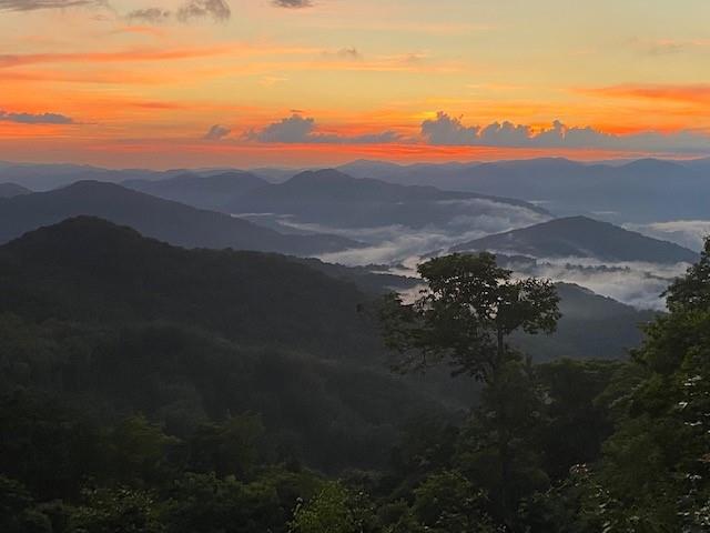 52 Logging Horse thumbnail image 1