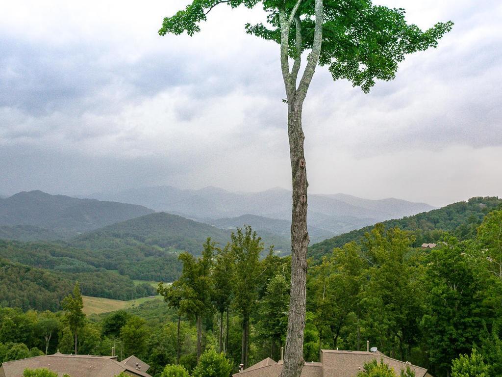 52 Logging Horse thumbnail image 32