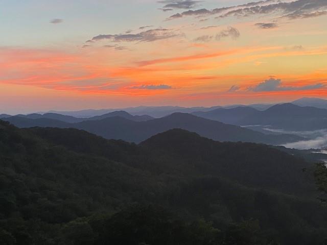 52 Logging Horse thumbnail image 33