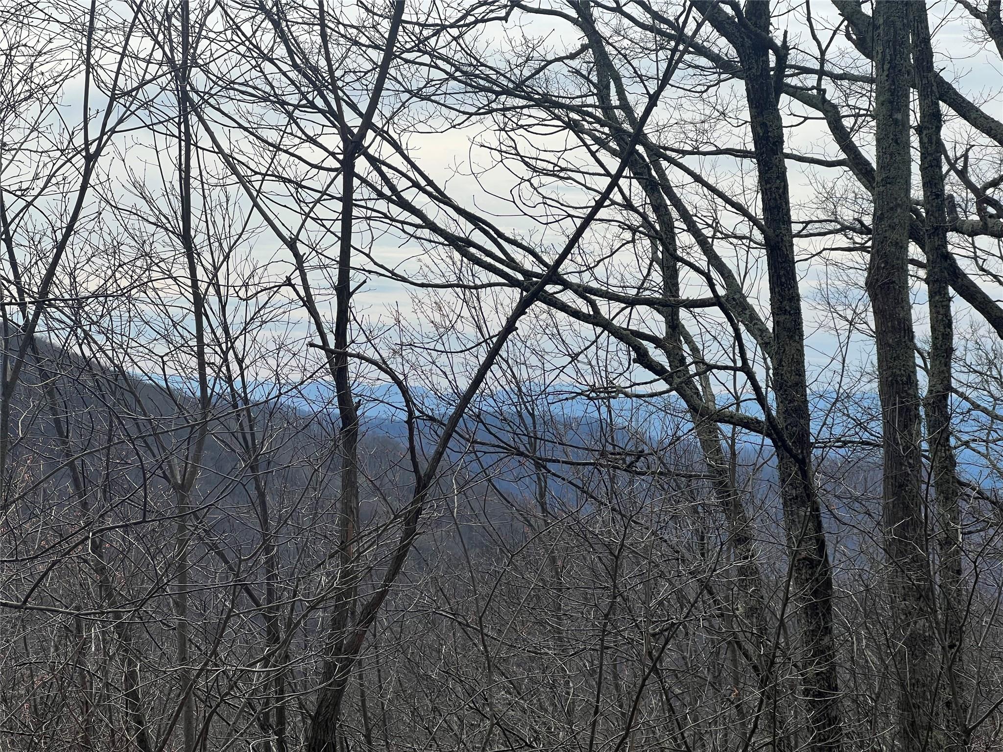 LOT 21 Cliff's Edge thumbnail image 1