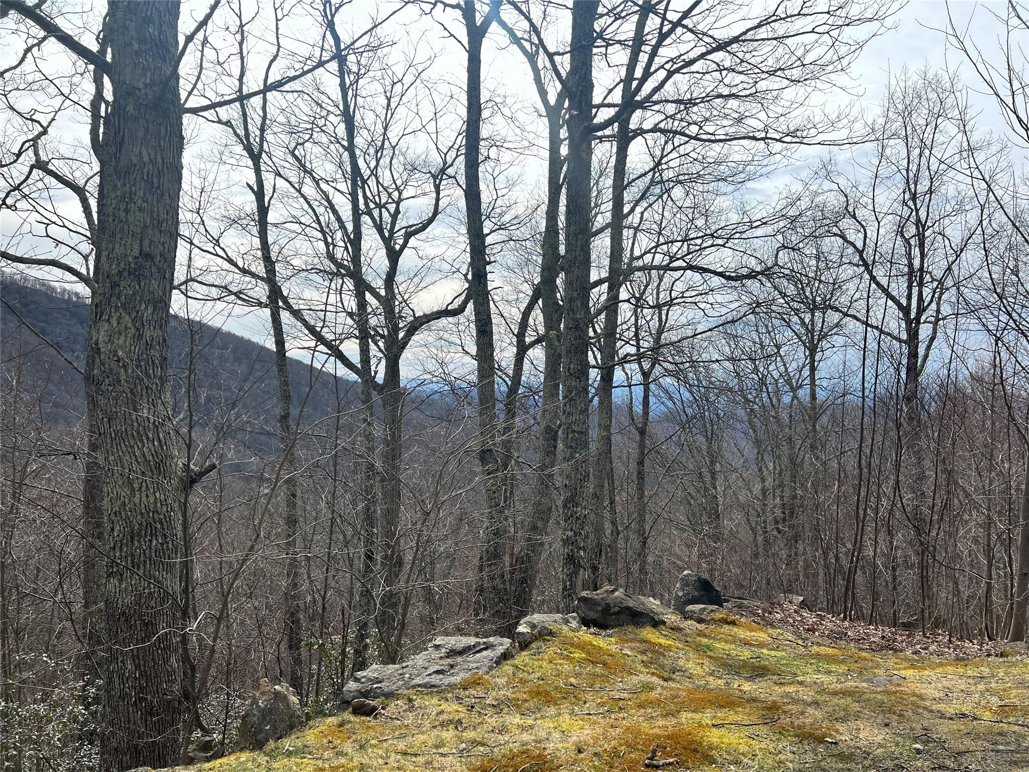 LOT 21 Cliff's Edge thumbnail image 2