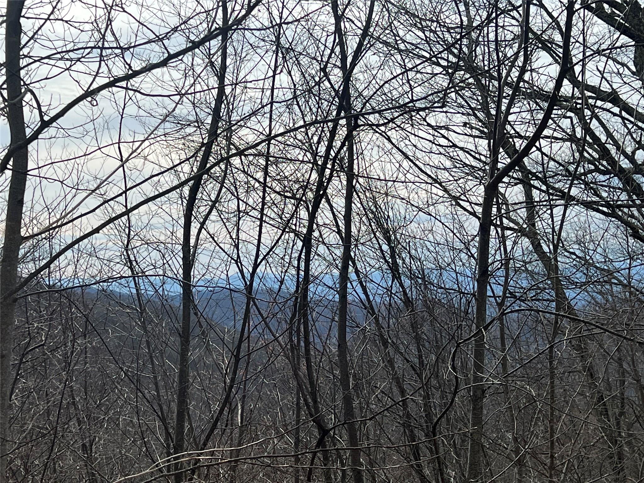 LOT 21 Cliff's Edge thumbnail image 3