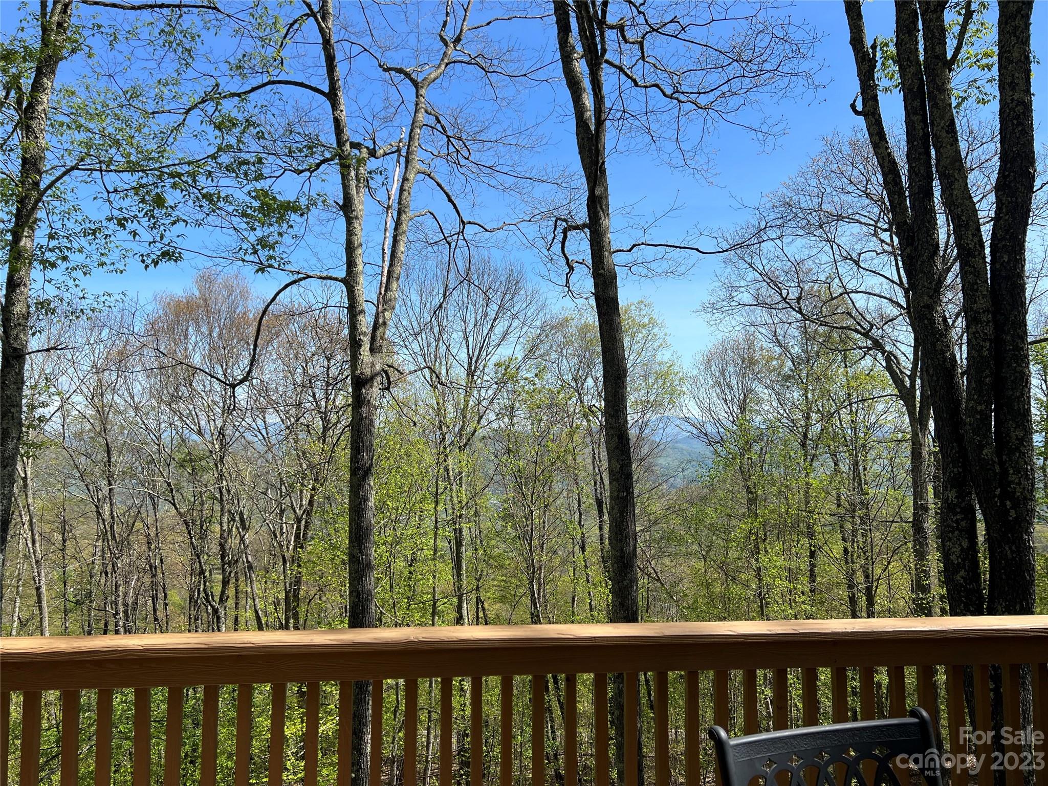 7 Valley Mist thumbnail image 22