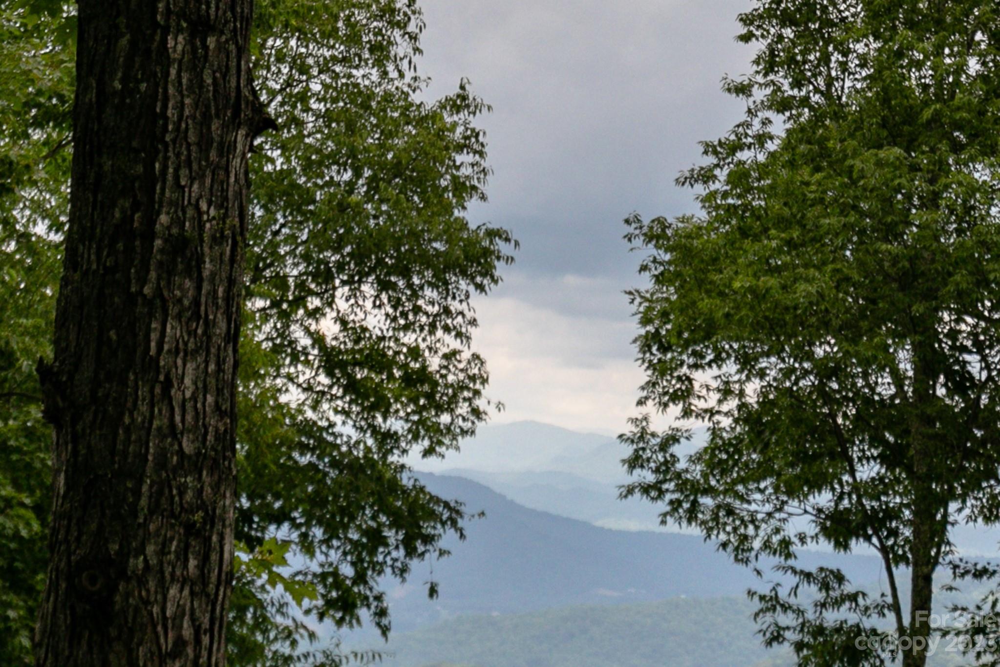 7 Valley Mist thumbnail image 40