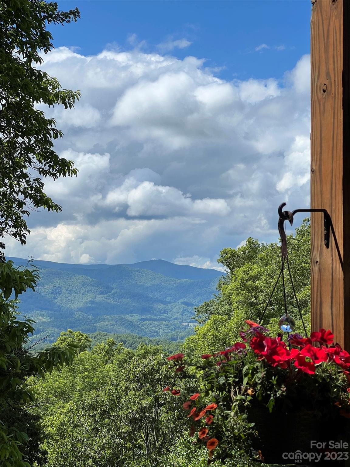 222 Creekside Way D-201 thumbnail image 1