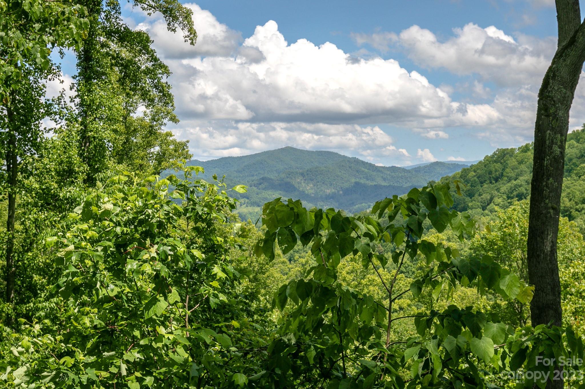 320 Creekside A101 thumbnail image 1