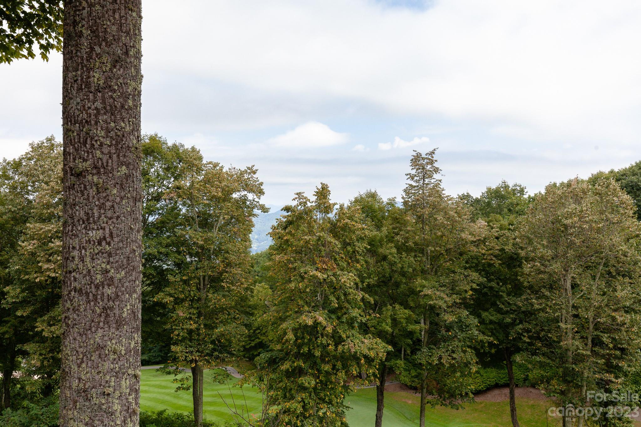 2520 Mountain Air thumbnail image 42