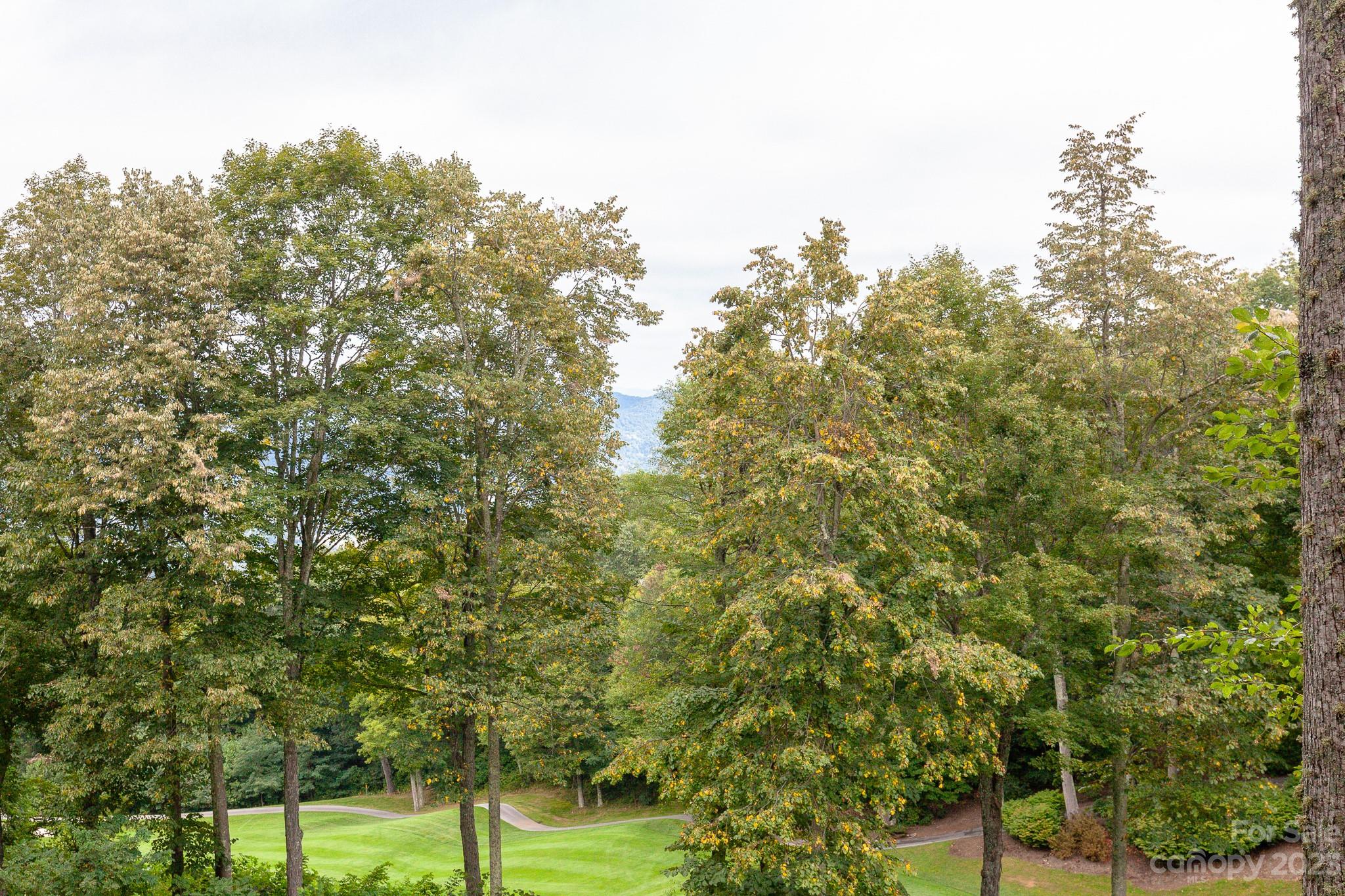 2520 Mountain Air thumbnail image 43