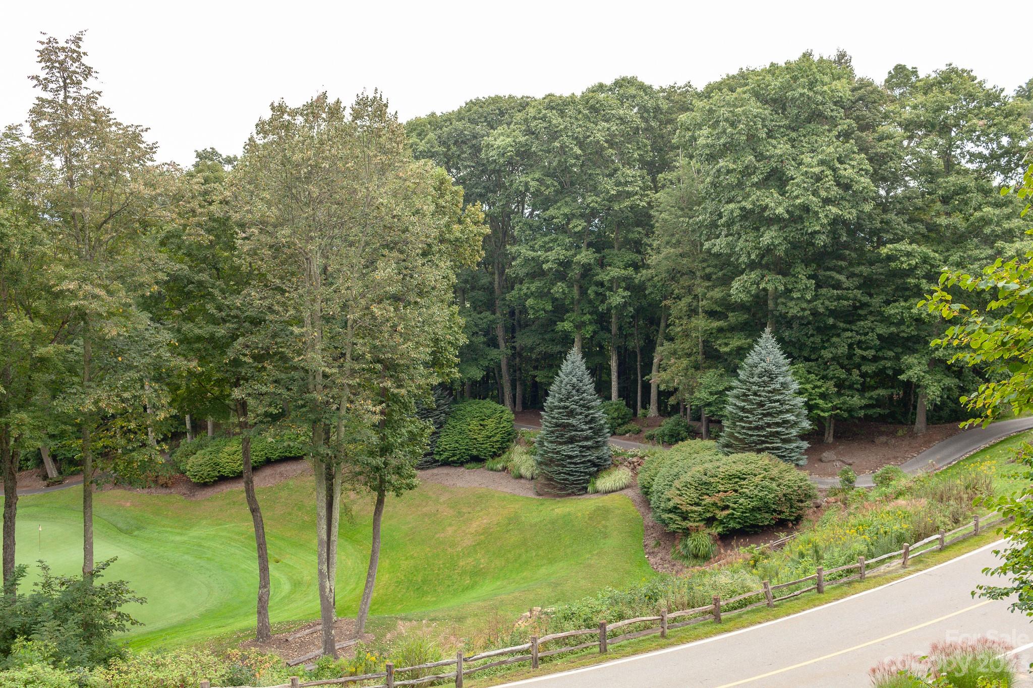 2520 Mountain Air thumbnail image 44